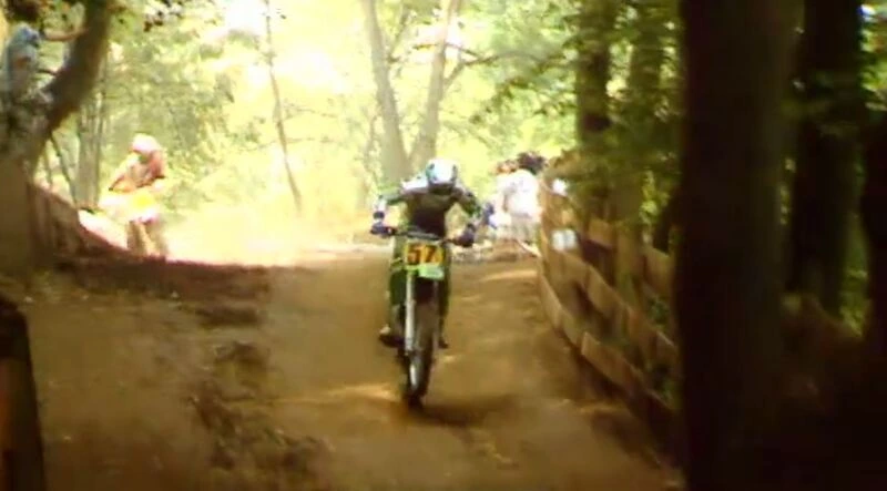 Le chemin des genêts